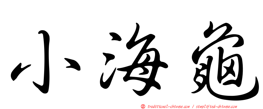 小海龜