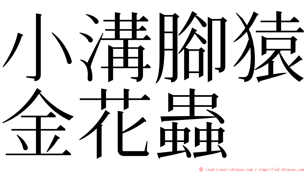 小溝腳猿金花蟲 ming font