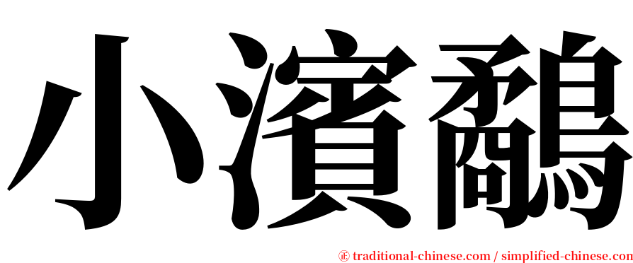 小濱鷸 serif font