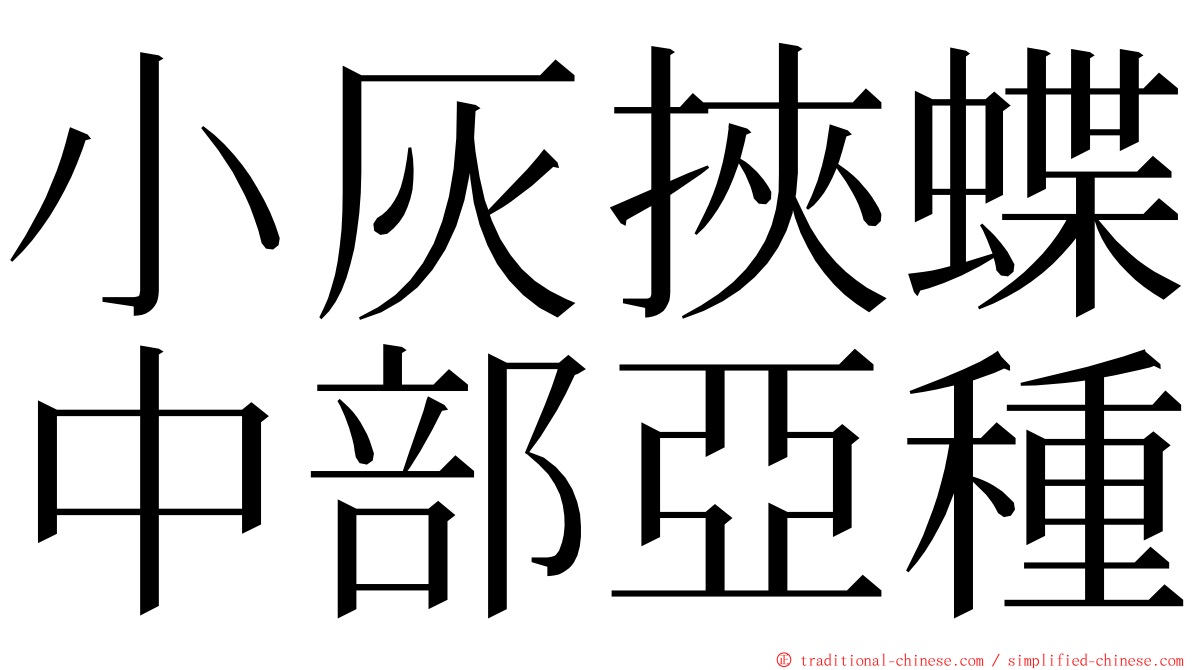 小灰挾蝶中部亞種 ming font