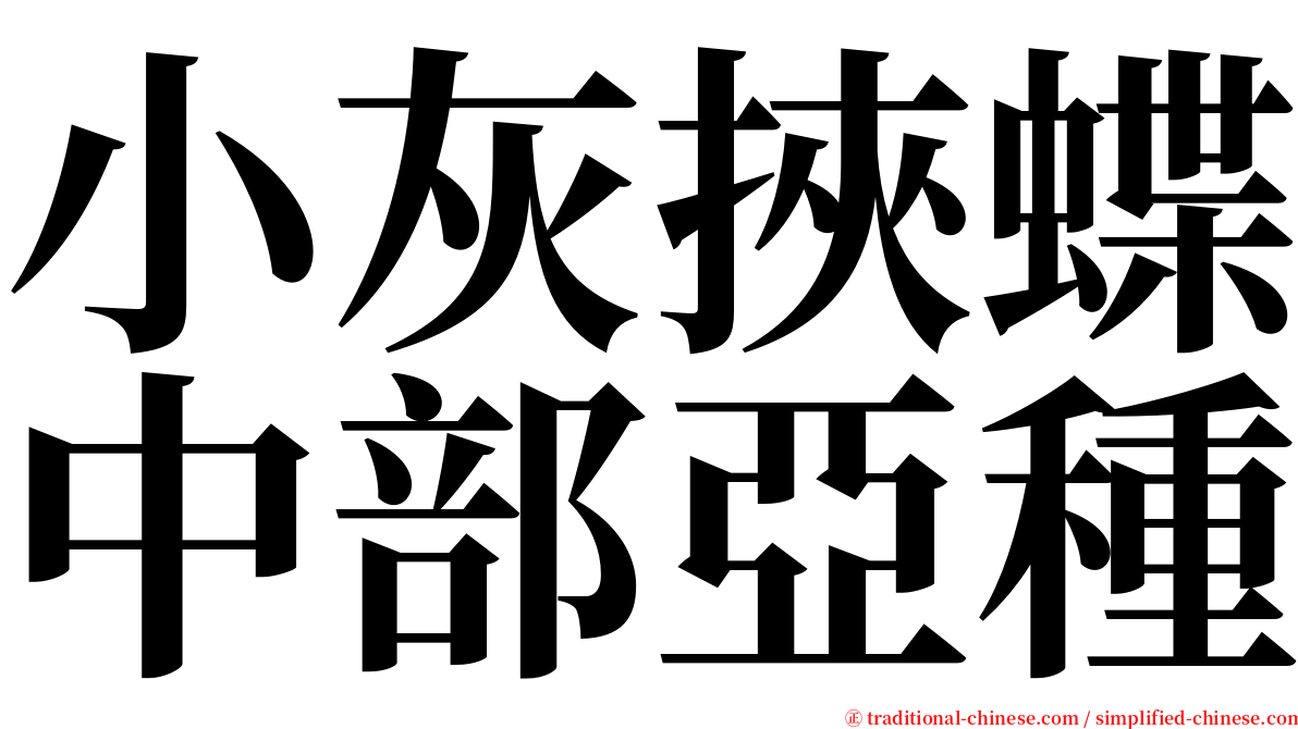 小灰挾蝶中部亞種 serif font