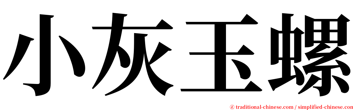 小灰玉螺 serif font