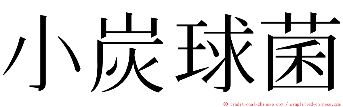 小炭球菌 ming font