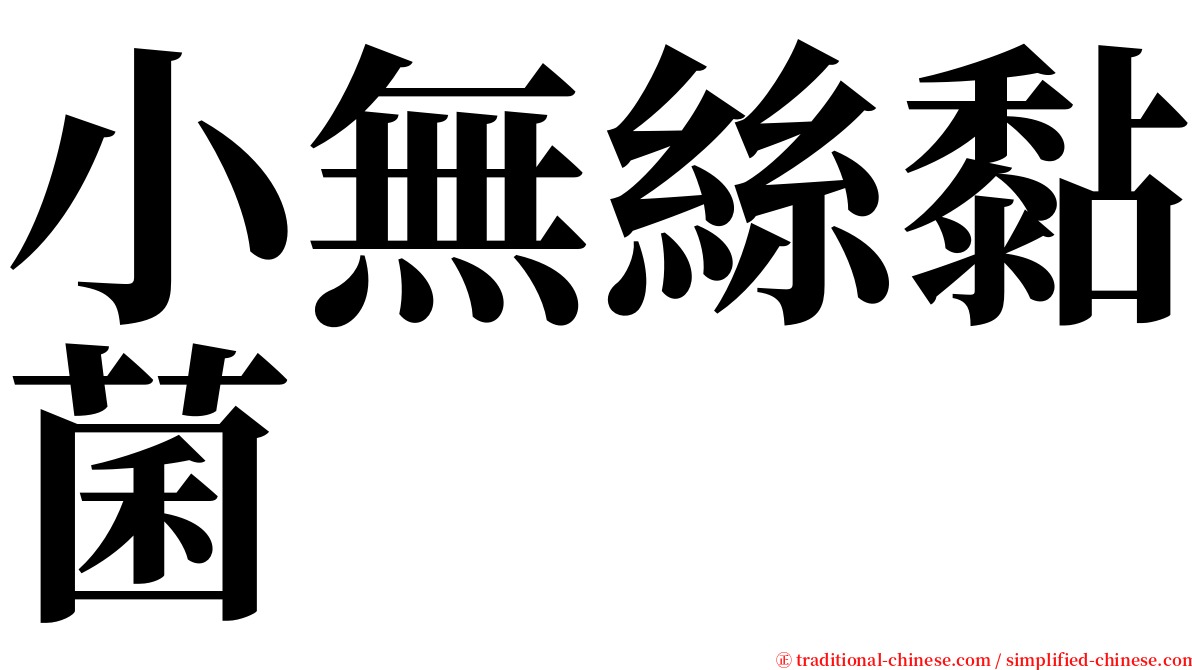 小無絲黏菌 serif font