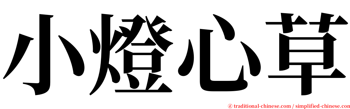 小燈心草 serif font