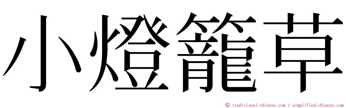 小燈籠草 ming font