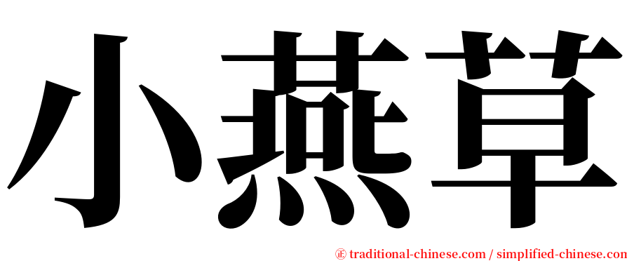 小燕草 serif font