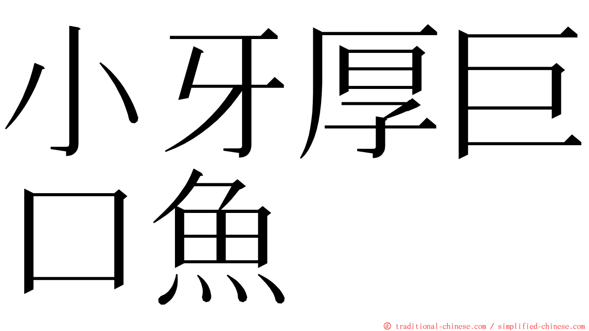 小牙厚巨口魚 ming font