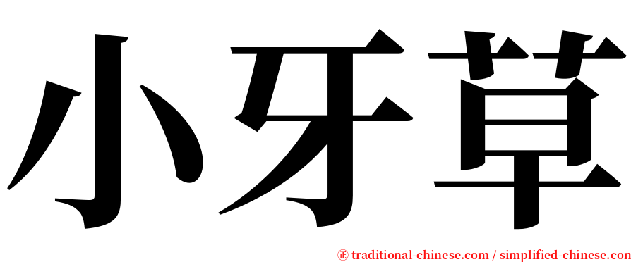 小牙草 serif font