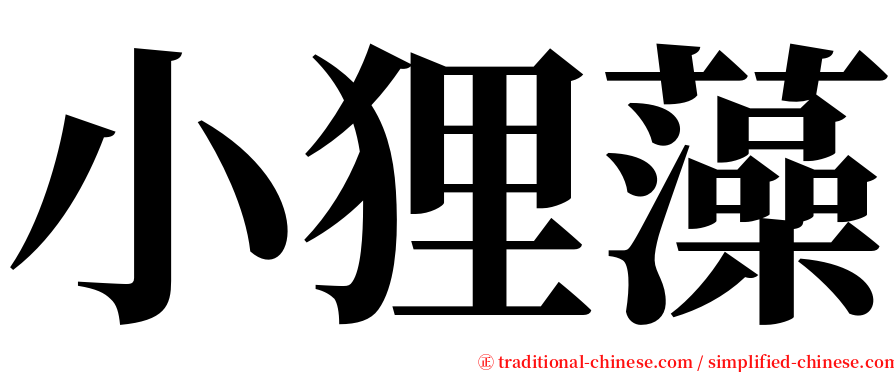 小狸藻 serif font