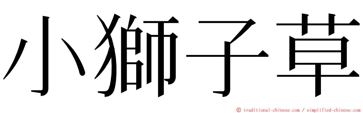 小獅子草 ming font