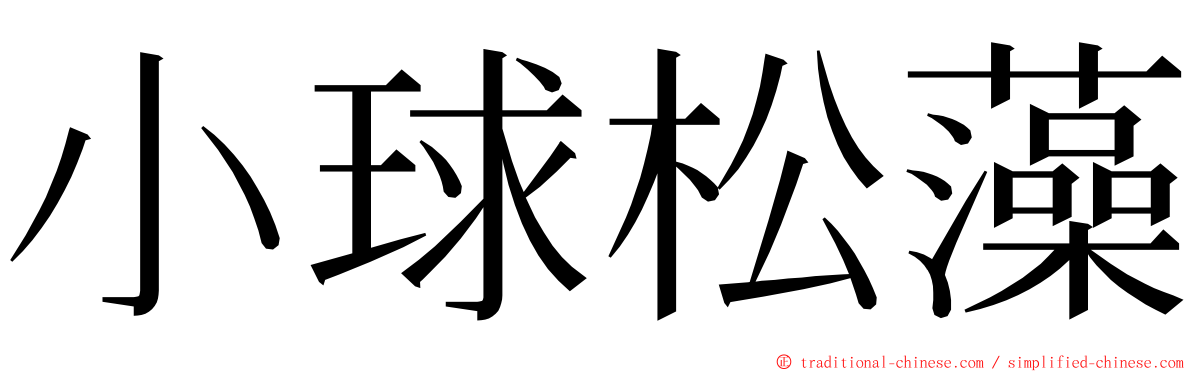 小球松藻 ming font