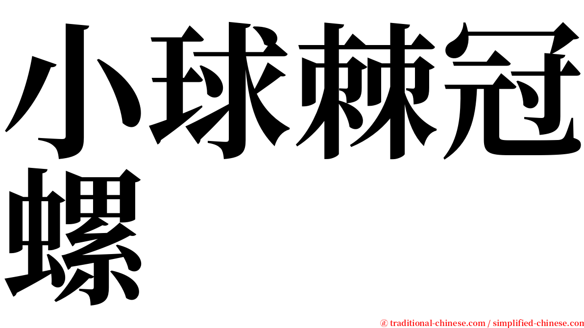 小球棘冠螺 serif font