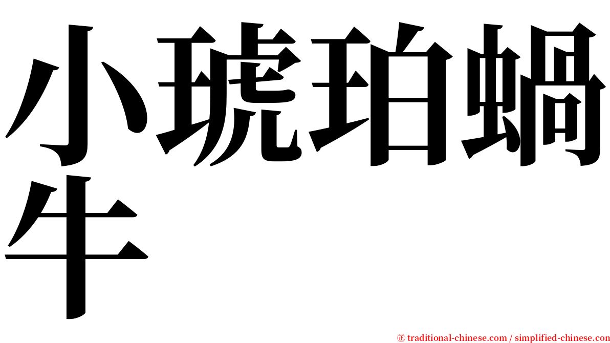 小琥珀蝸牛 serif font