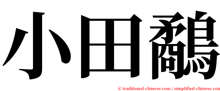 小田鷸 serif font