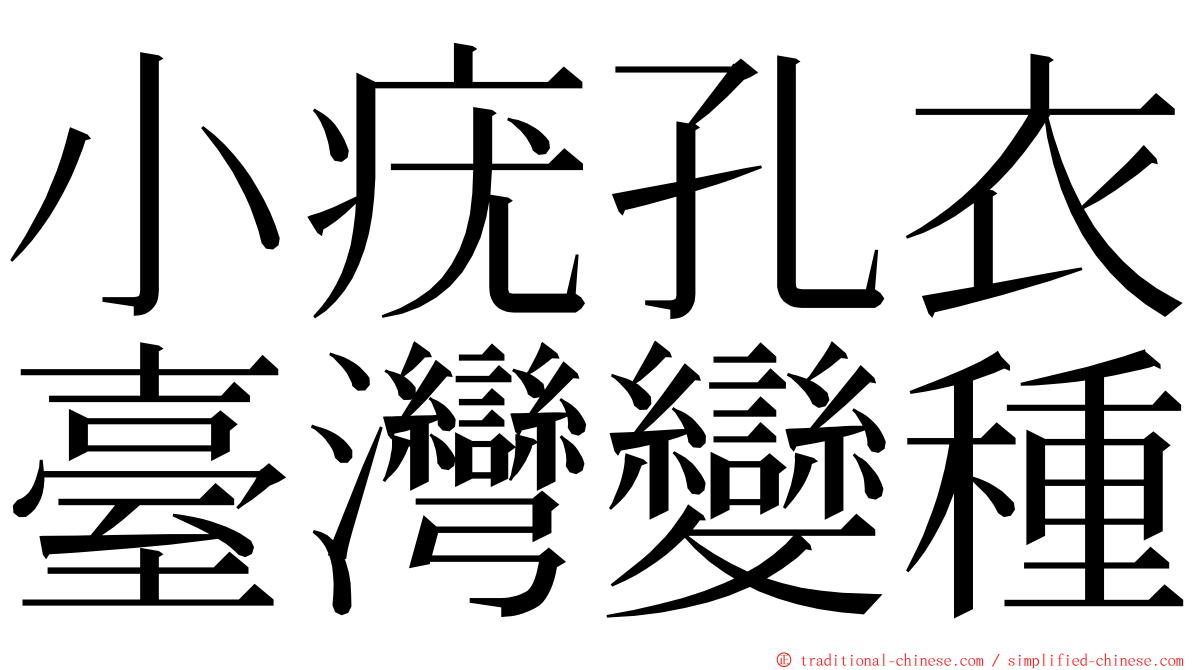 小疣孔衣臺灣變種 ming font