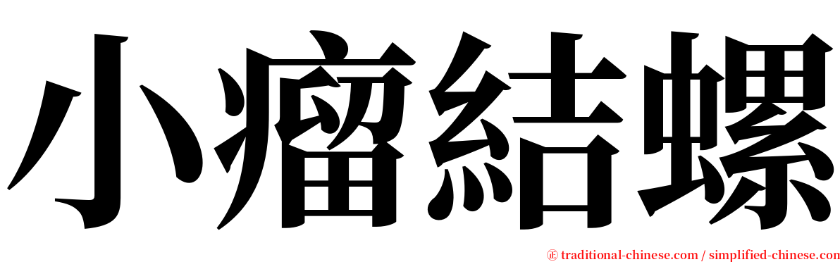 小瘤結螺 serif font