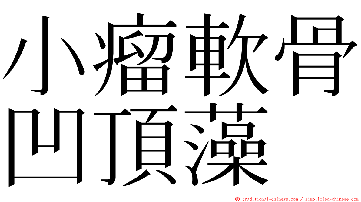 小瘤軟骨凹頂藻 ming font