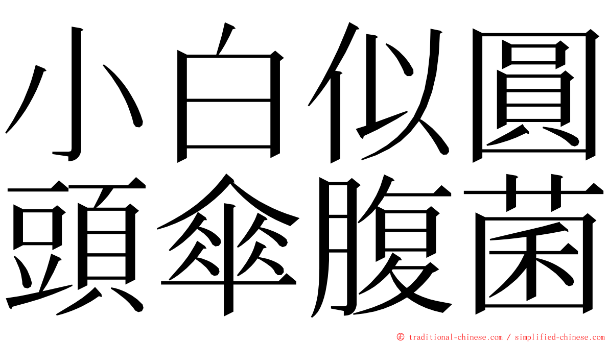 小白似圓頭傘腹菌 ming font