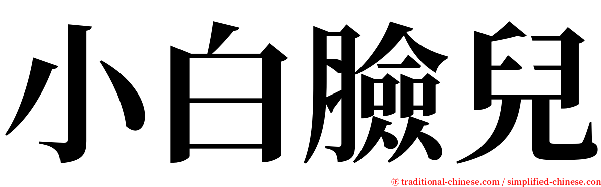 小白臉兒 serif font