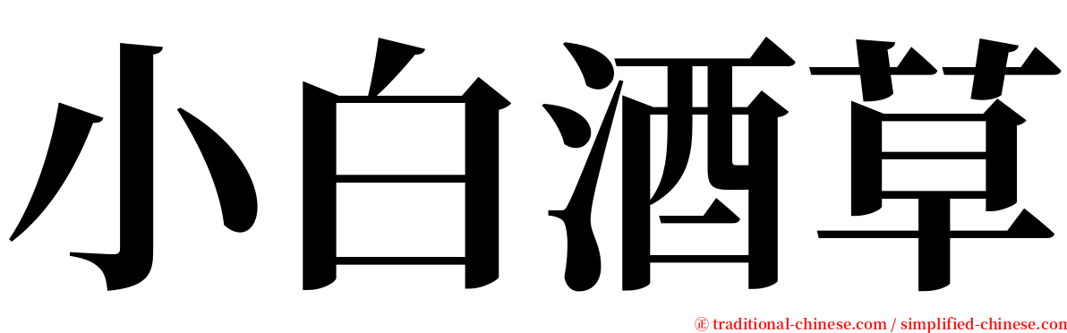 小白酒草 serif font