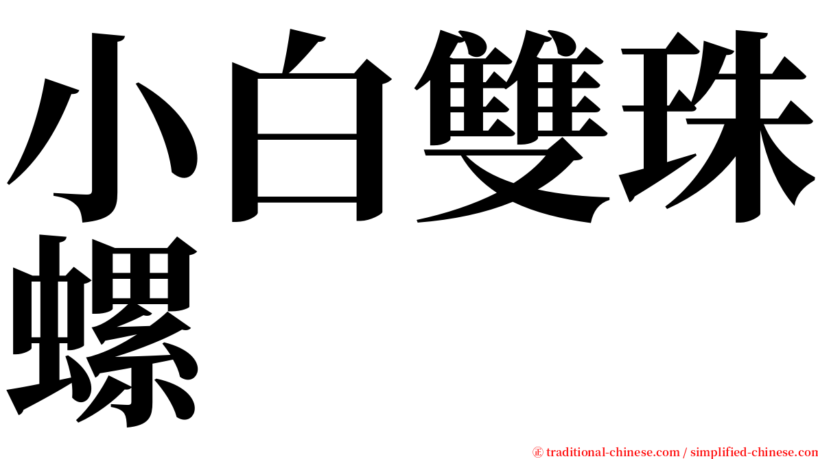 小白雙珠螺 serif font