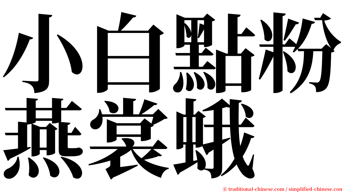 小白點粉燕裳蛾 serif font