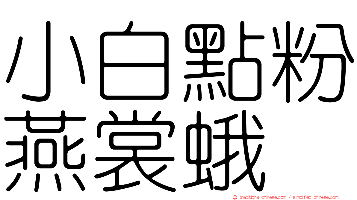 小白點粉燕裳蛾