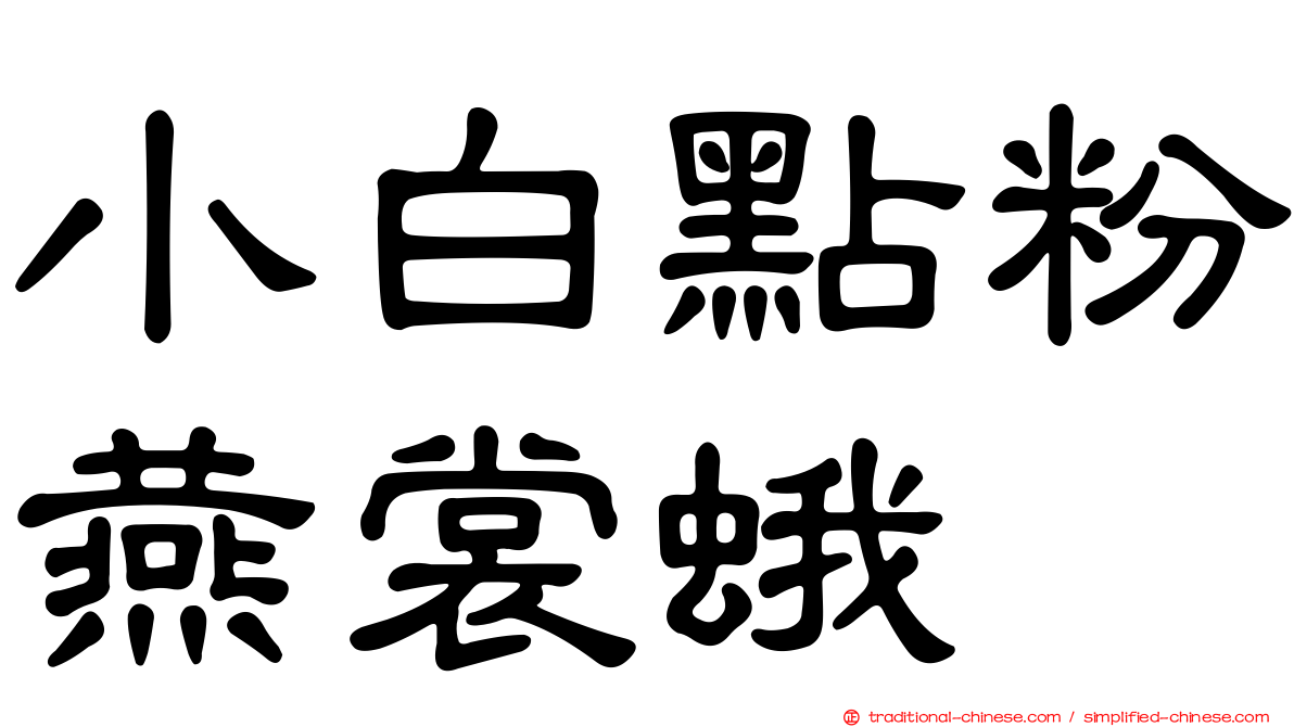 小白點粉燕裳蛾