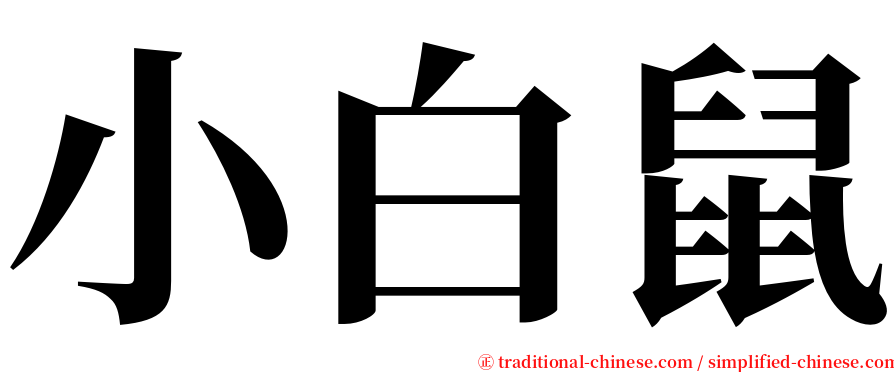 小白鼠 serif font