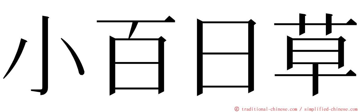 小百日草 ming font