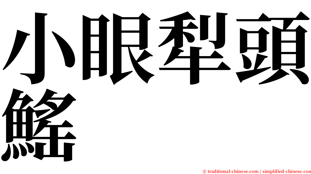 小眼犁頭鰩 serif font