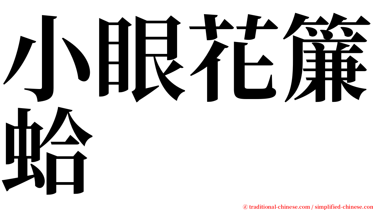 小眼花簾蛤 serif font