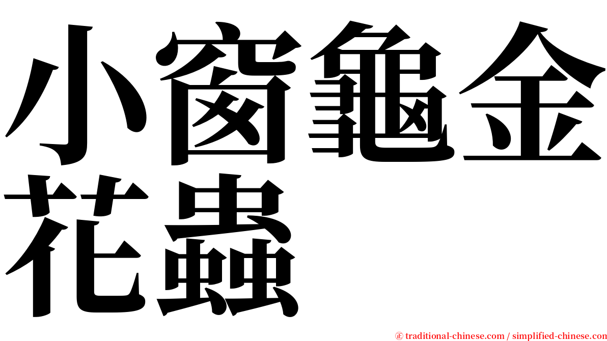 小窗龜金花蟲 serif font