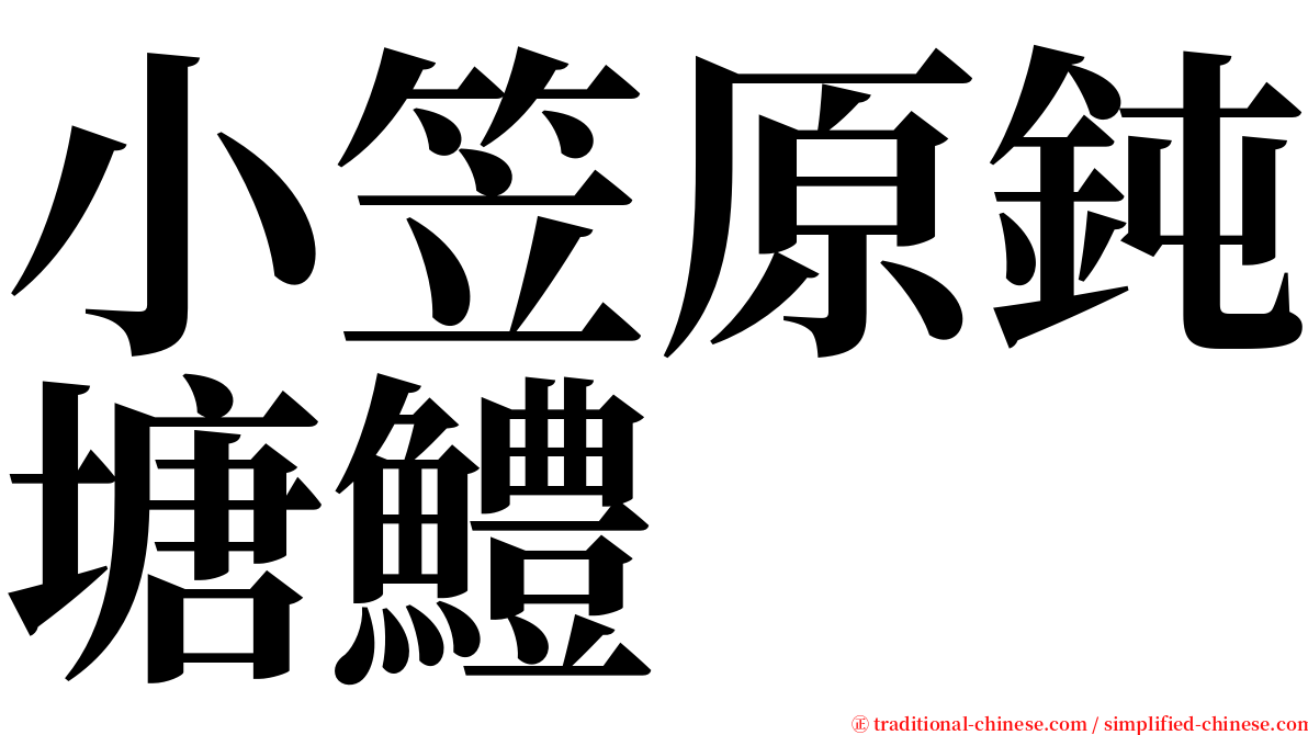 小笠原鈍塘鱧 serif font