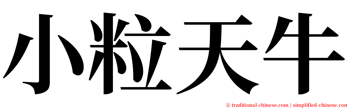 小粒天牛 serif font