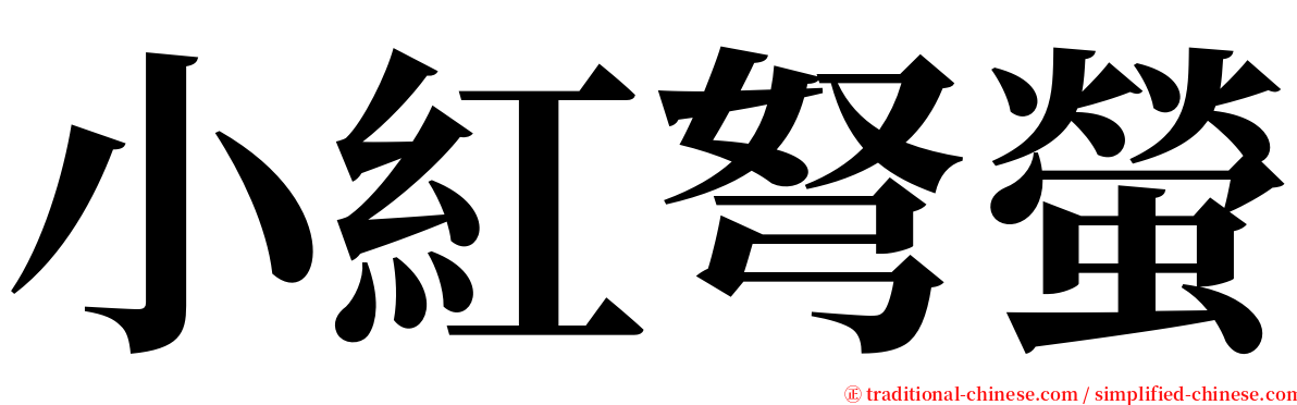 小紅弩螢 serif font