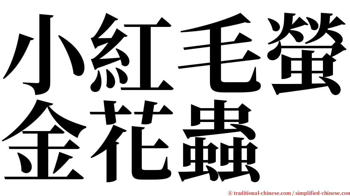 小紅毛螢金花蟲 serif font