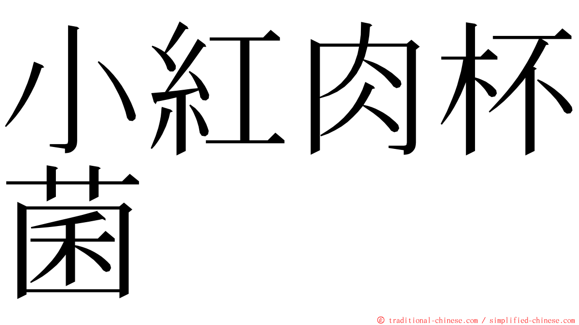 小紅肉杯菌 ming font