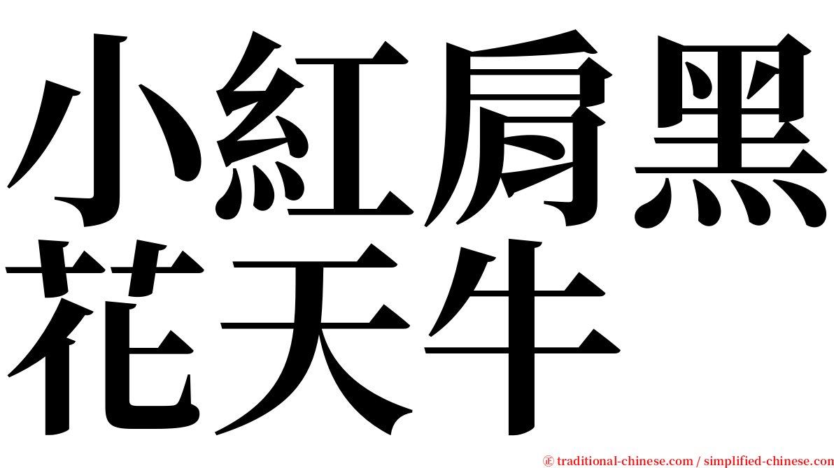 小紅肩黑花天牛 serif font