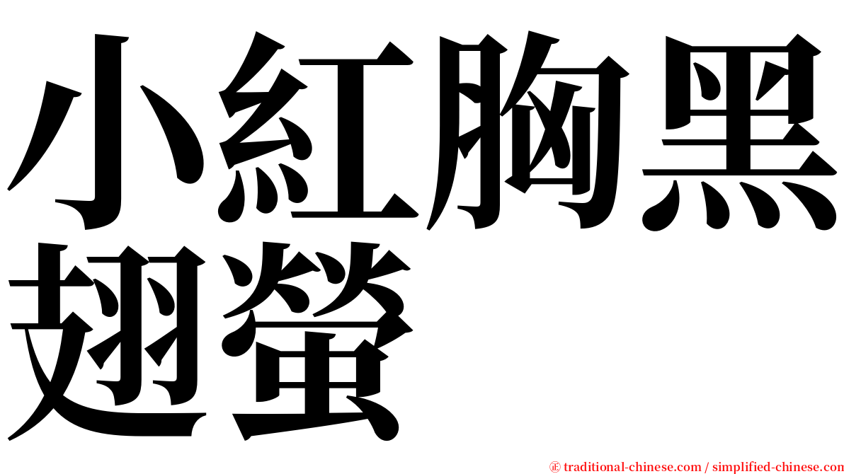 小紅胸黑翅螢 serif font