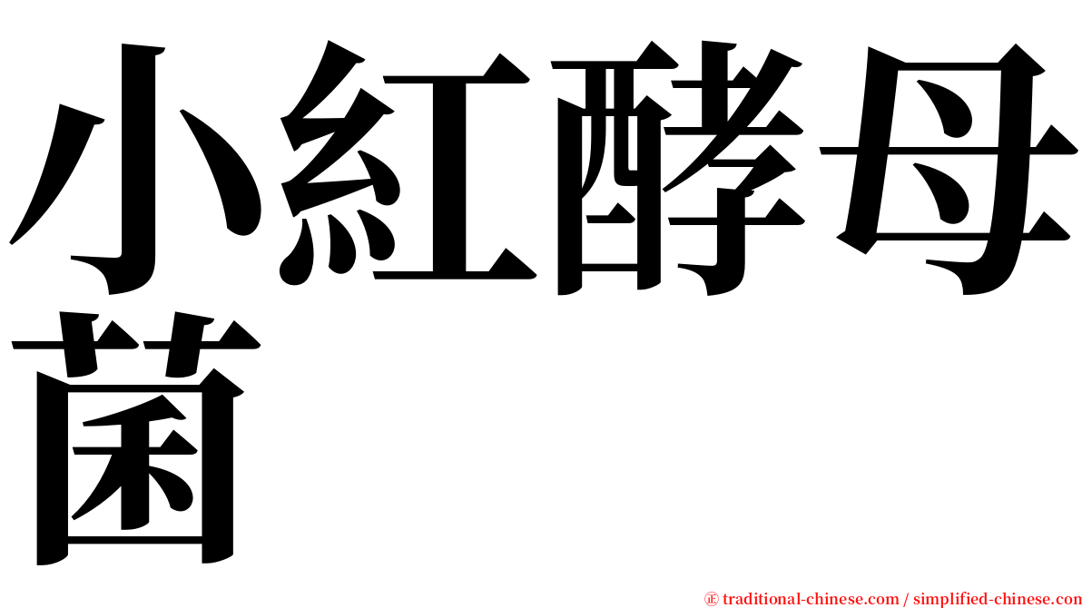 小紅酵母菌 serif font