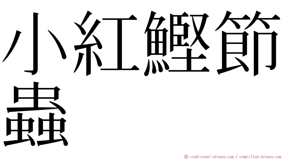 小紅鰹節蟲 ming font