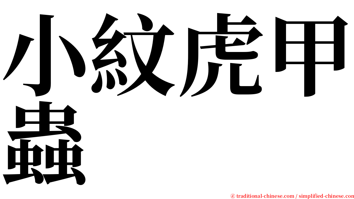 小紋虎甲蟲 serif font