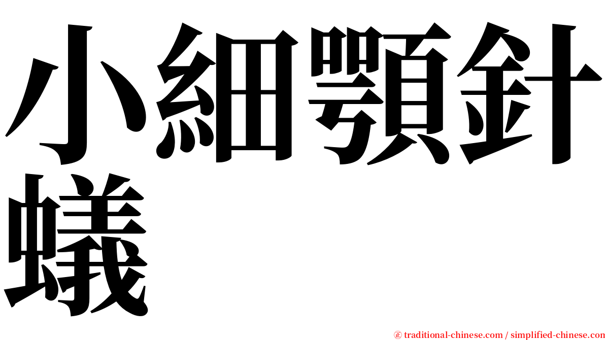 小細顎針蟻 serif font