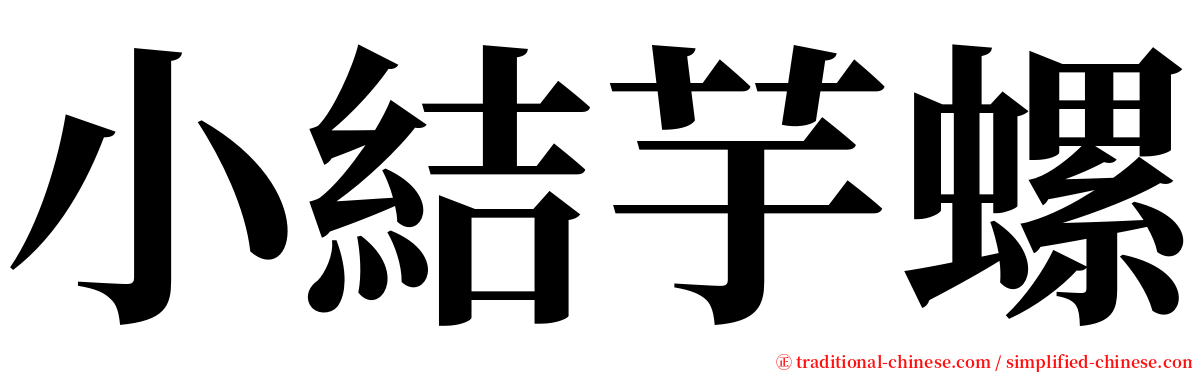 小結芋螺 serif font