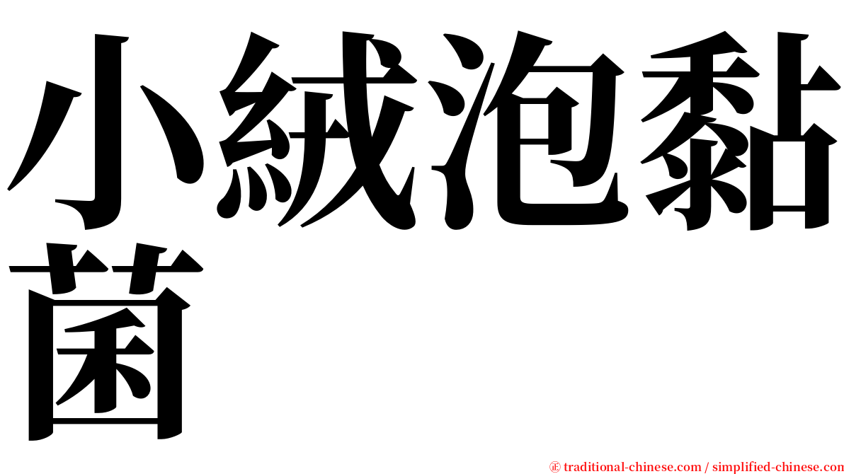 小絨泡黏菌 serif font