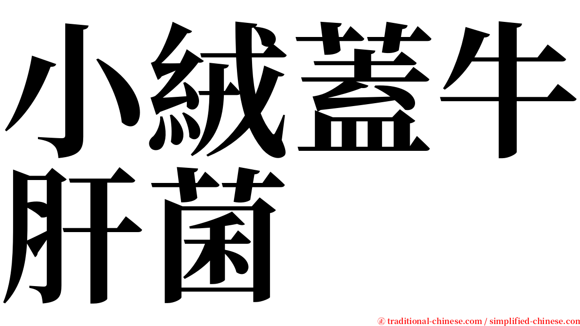 小絨蓋牛肝菌 serif font