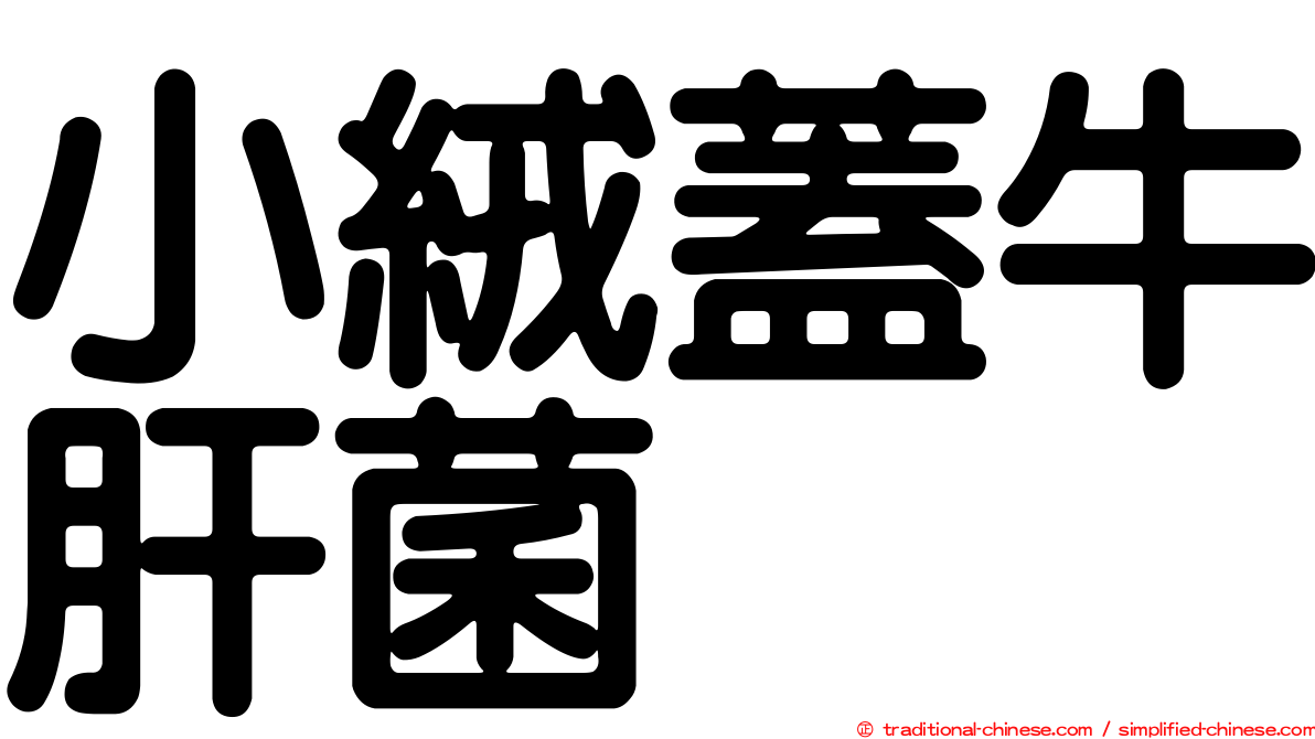 小絨蓋牛肝菌