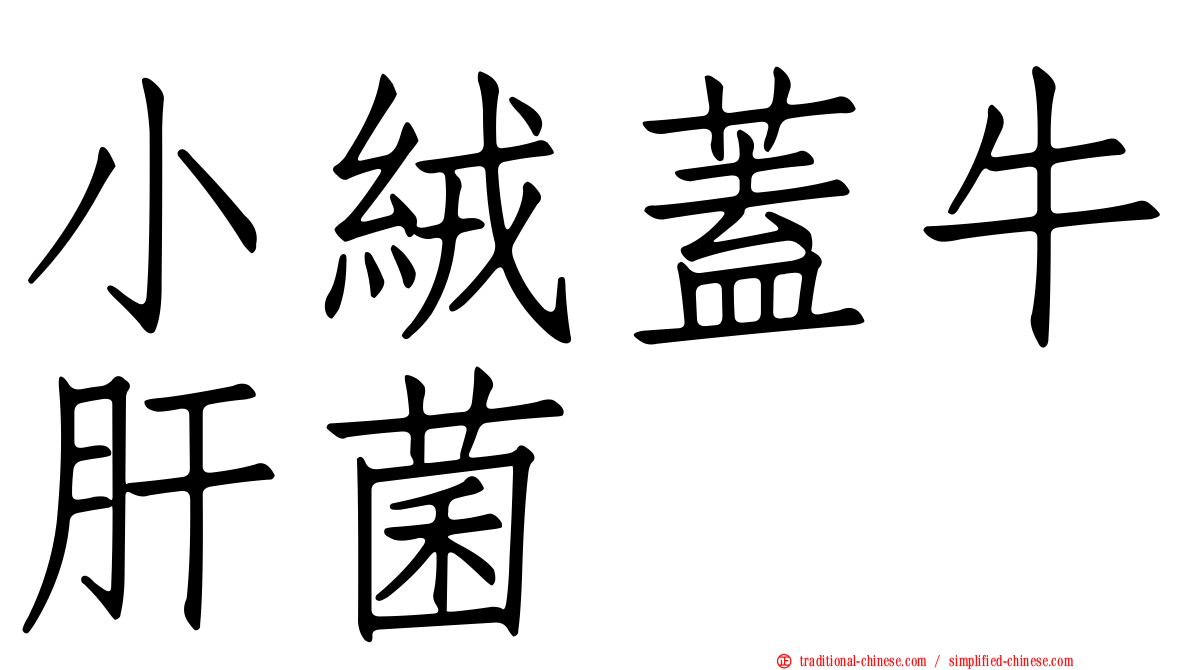 小絨蓋牛肝菌